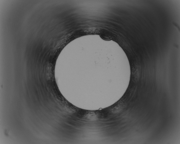 X0000103300416200809261318