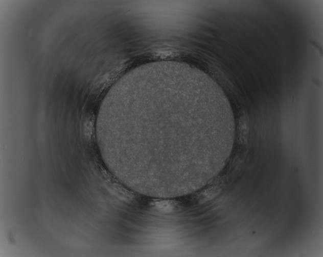 X0000103300417200809261318