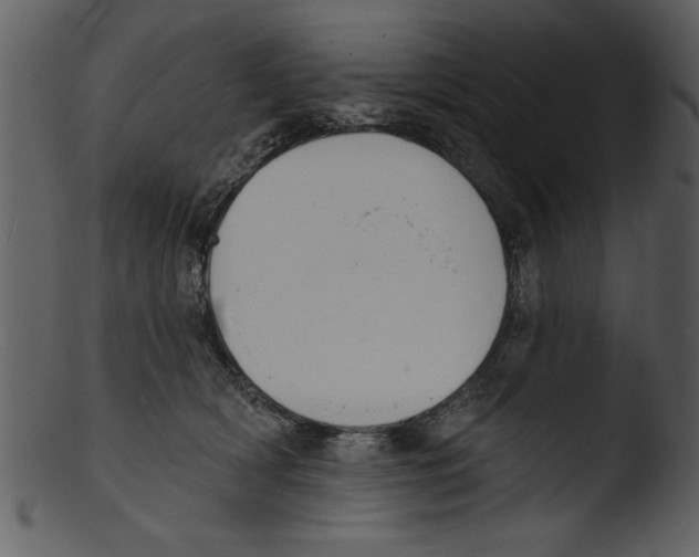 X0000103300418200809261318