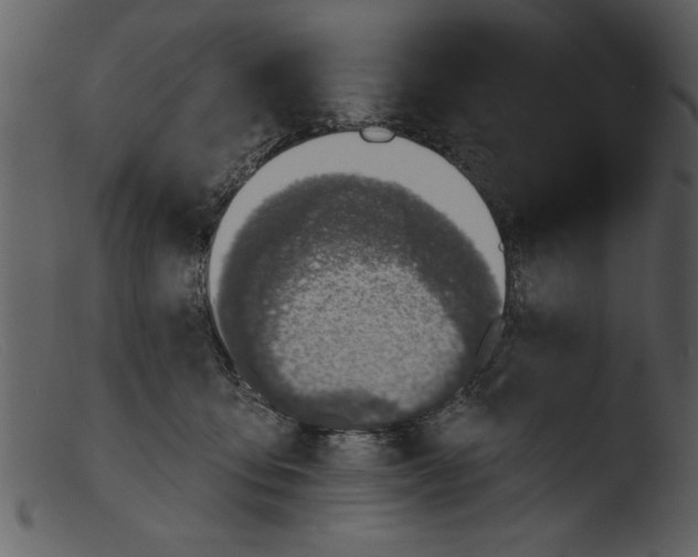 X0000103300419200809261318