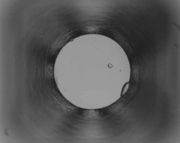 X0000103300421200809261318