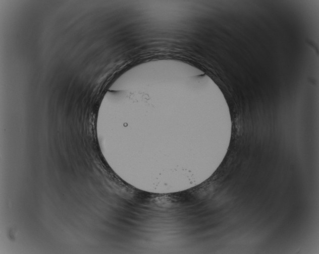 X0000103300423200809261318