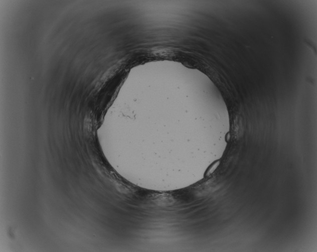 X0000103300424200809261318