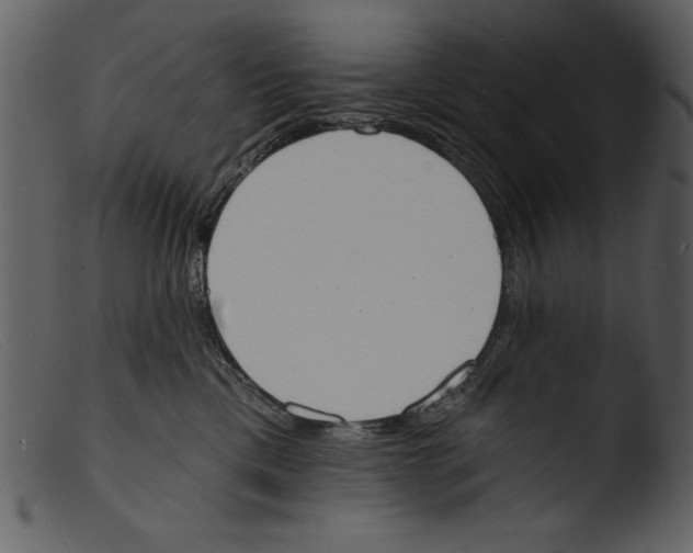 X0000103300425200809261318