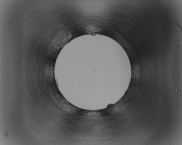 X0000103300426200809261318