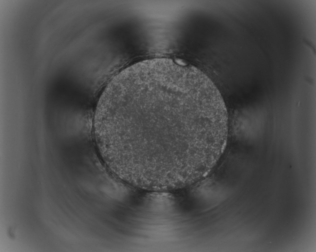 X0000103300427200809261318
