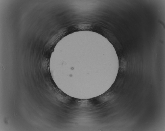 X0000103300428200809261318