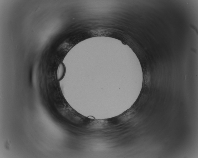 X0000103300429200809261318