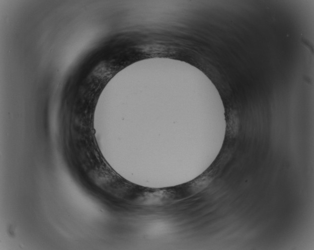 X0000103300430200809261318