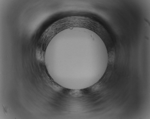 X0000103300431200809261318