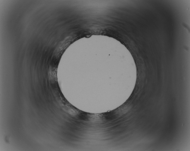 X0000103300432200809261318