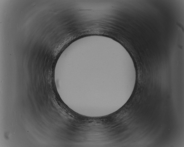 X0000103300434200809261317
