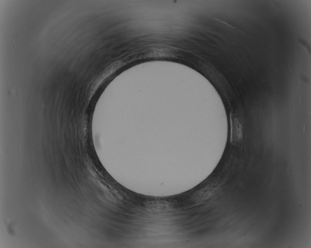 X0000103300435200809261317