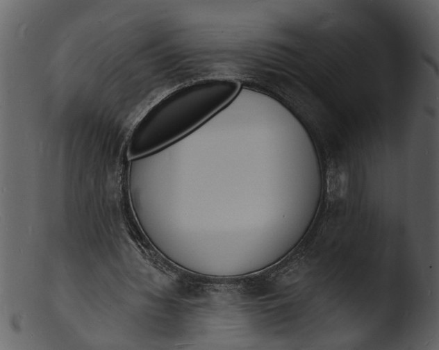 X0000103300436200809261317