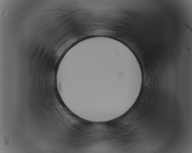 X0000103300437200809261317
