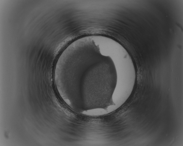 X0000103300438200809261317
