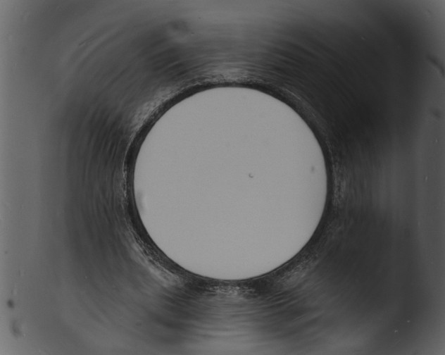 X0000103300439200809261317