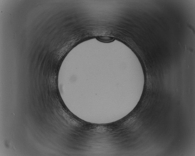 X0000103300441200809261317