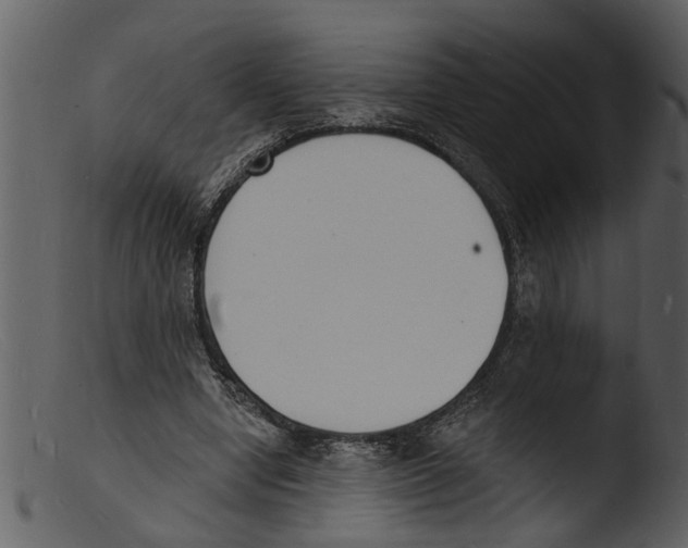 X0000103300442200809261317
