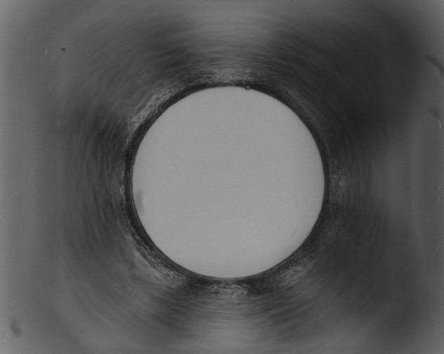 X0000103300443200809261317