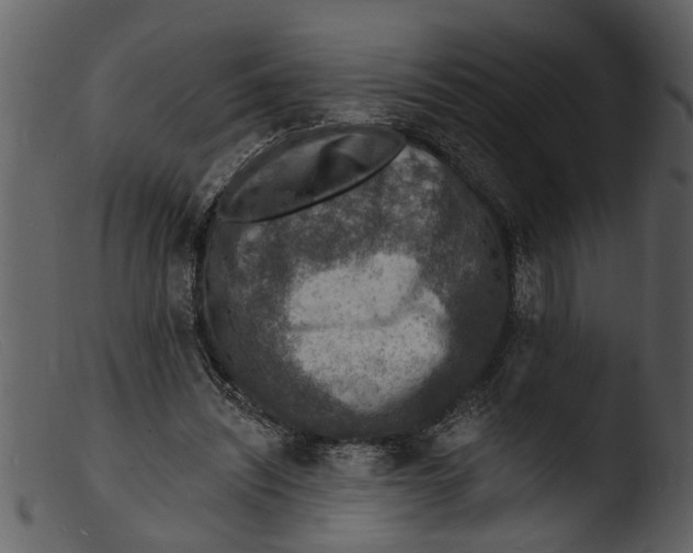 X0000103300444200809261317