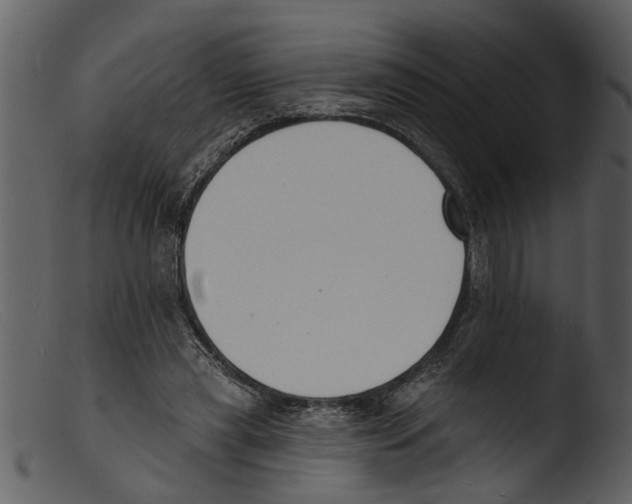 X0000103300445200809261317