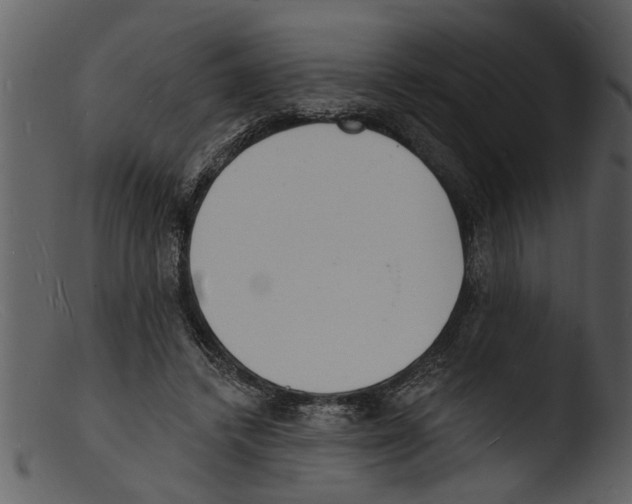 X0000103300448200809261317