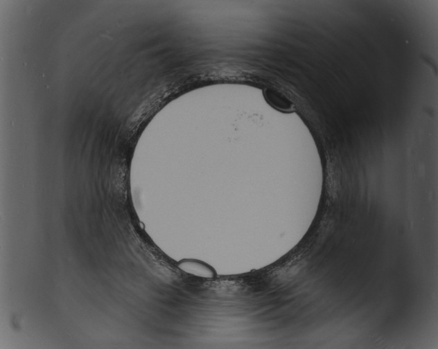 X0000103300449200809261317