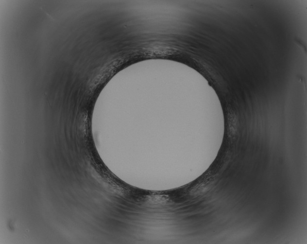 X0000103300451200809261317