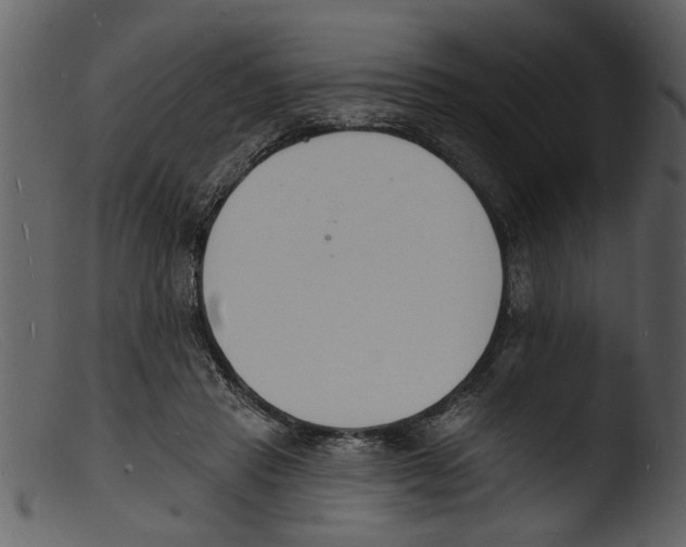 X0000103300453200809261317