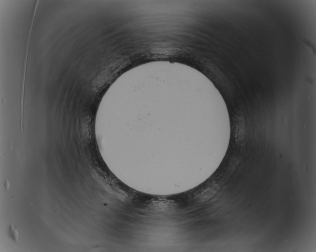 X0000103300455200809261317