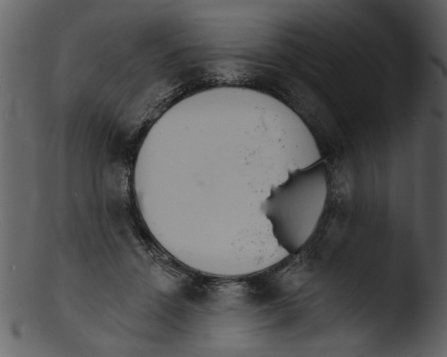 X0000103300456200809261318