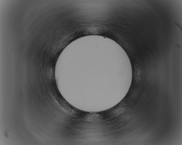 X0000103300459200809261318