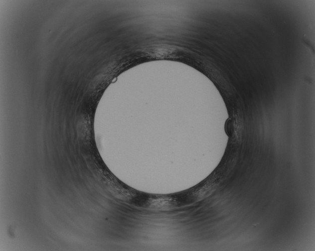 X0000103300461200809261318