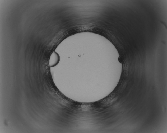 X0000103300462200809261318