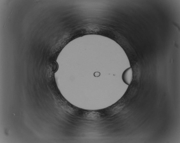 X0000103300463200809261318
