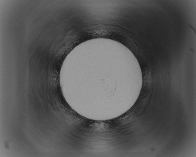 X0000103300464200809261318
