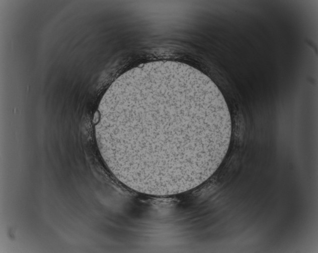 X0000103300465200809261318