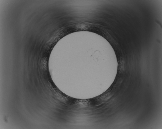 X0000103300466200809261318