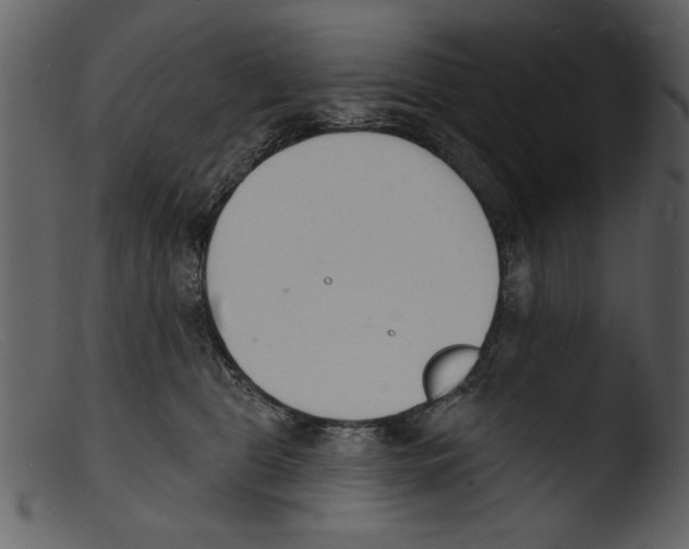 X0000103300469200809261318