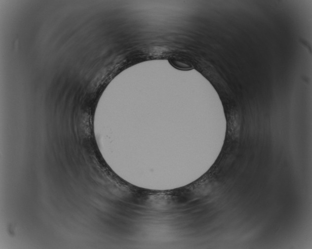 X0000103300470200809261318