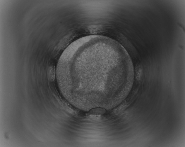 X0000103300471200809261318