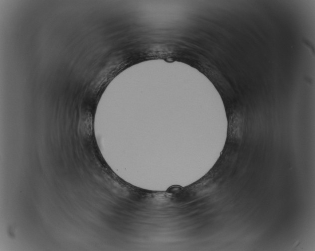 X0000103300474200809261318