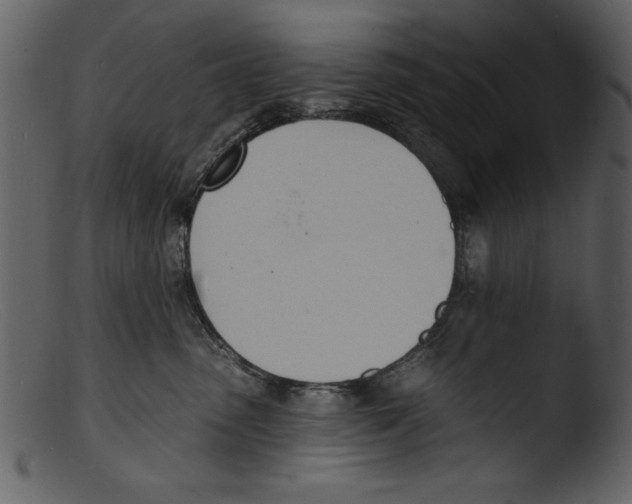 X0000103300475200809261318