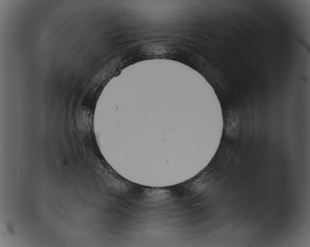 X0000103300476200809261318