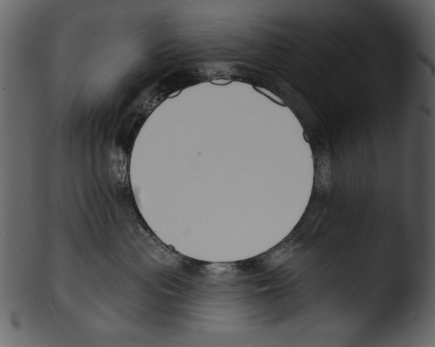 X0000103300477200809261318
