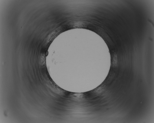 X0000103300478200809261318