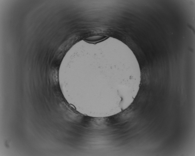 X0000103300479200809261318