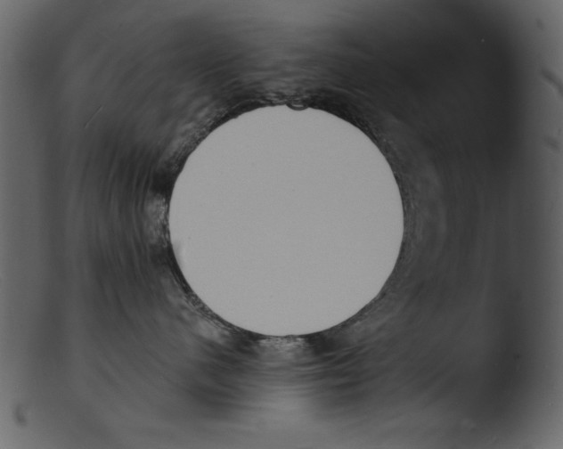 X0000103300480200809261318