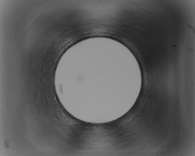 X0000103300481200809261317